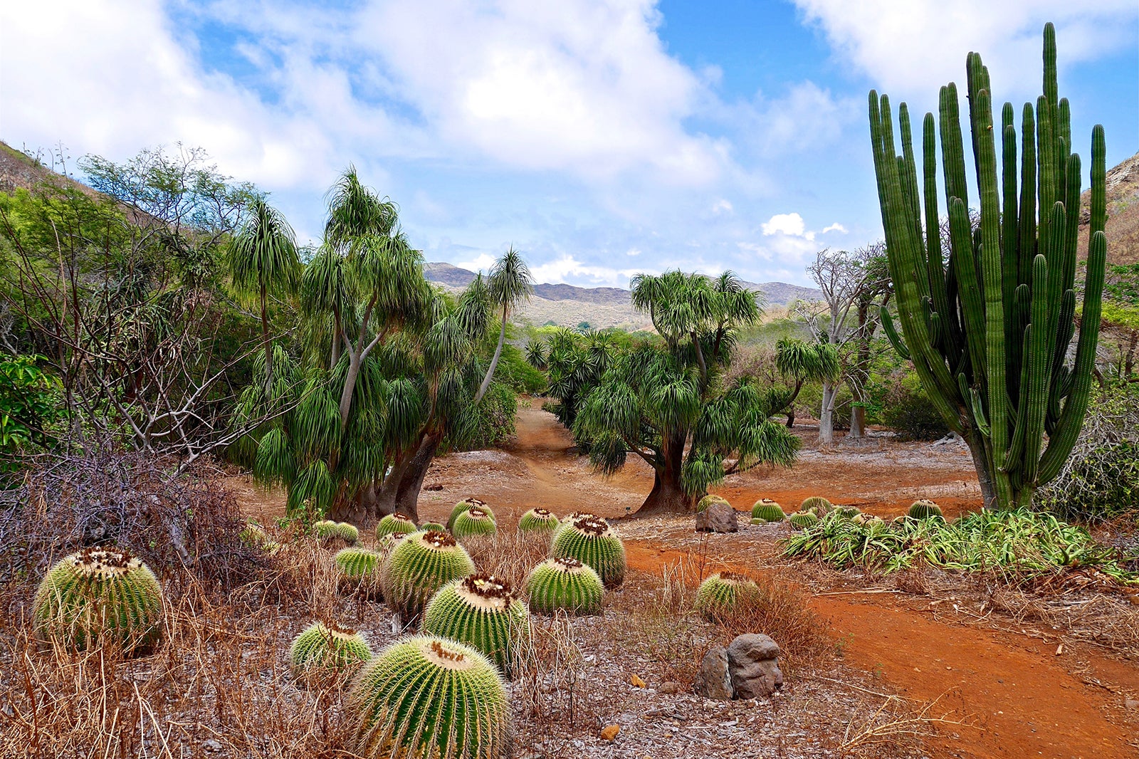 Koko Crater Botanical Garden