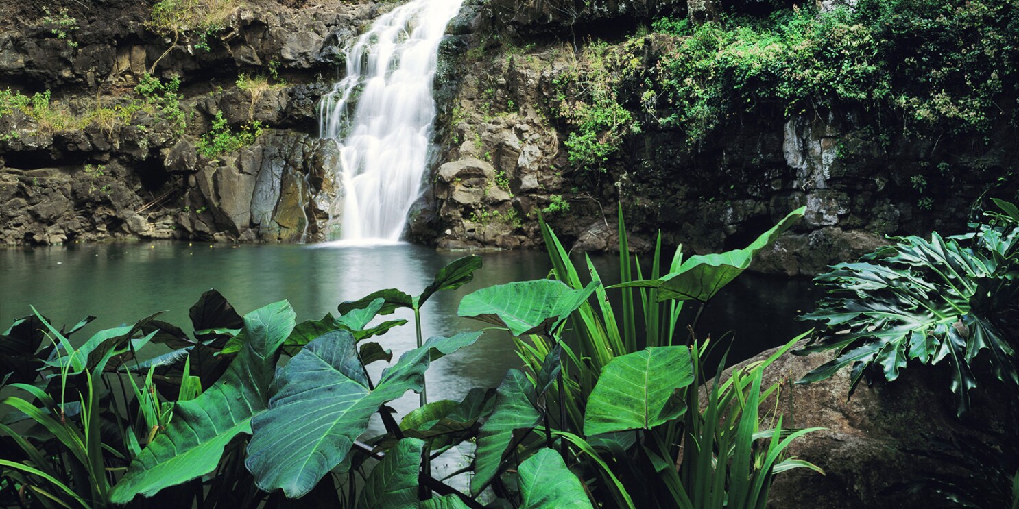 Waimea Valley