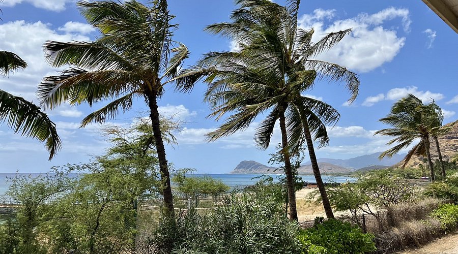 Explore the Coastline on a Vintage Train